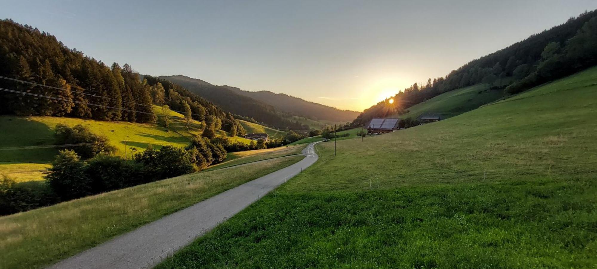 Ferienwohnung Irgendwo Im Schwarzwald Elzach Exterior foto